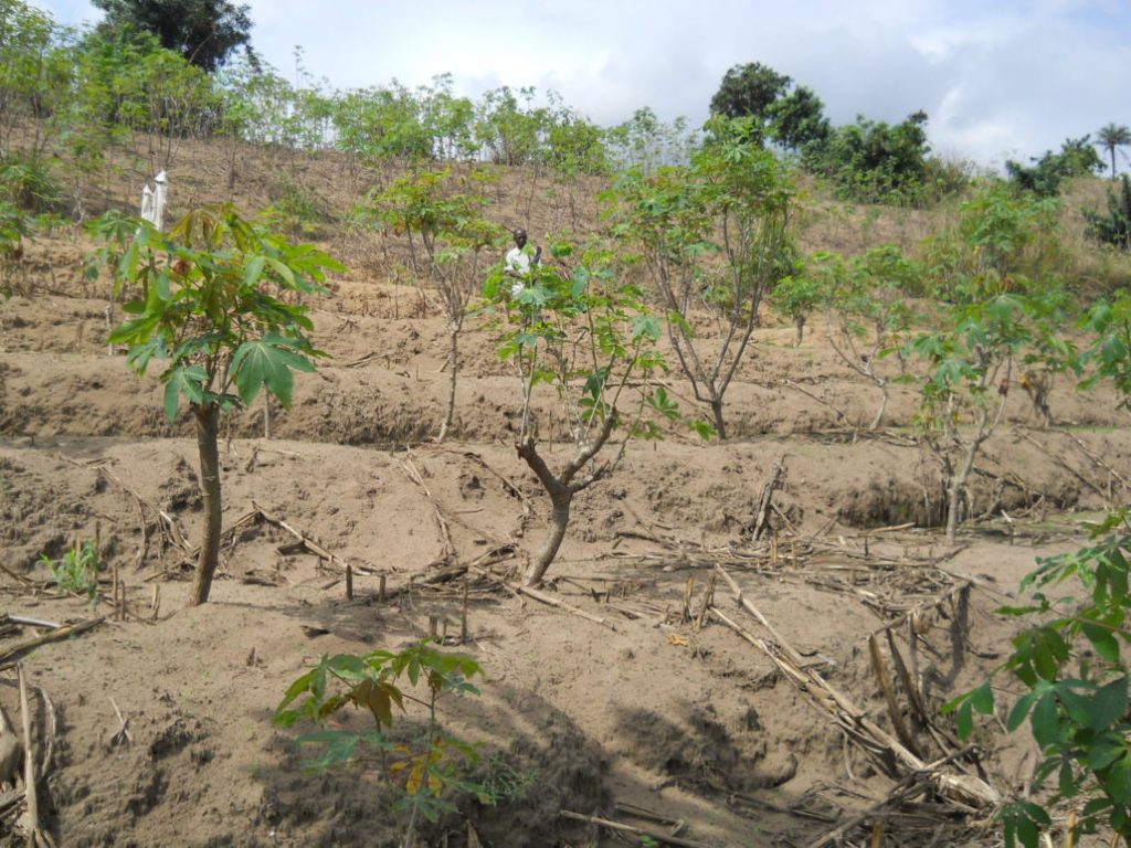 INGEGNERIA DELLE ACQUE Una storia dall’Africa