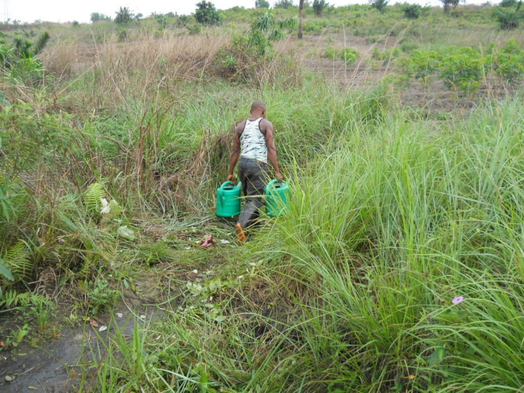 INGEGNERIA DELLE ACQUE Una storia dall’Africa