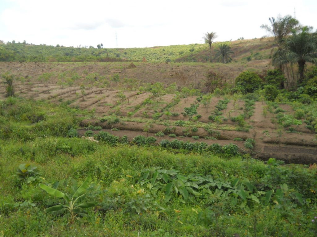 GESTIONE DELLE ACQUE Una Case History dal Congo