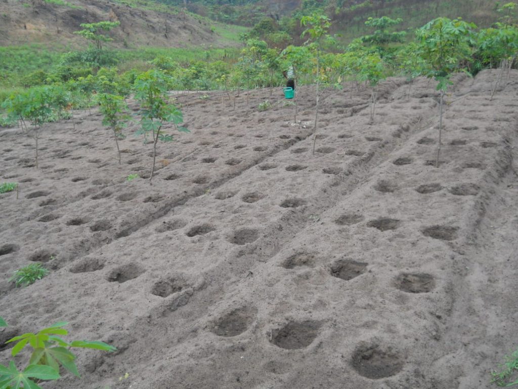 GESTIONE DELLE ACQUE Una Case History dal Congo