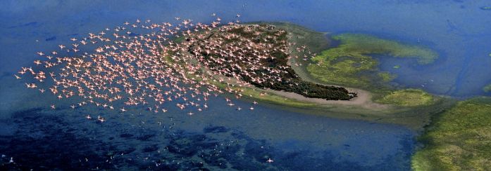 L'intervento strategico per il Delta del Po