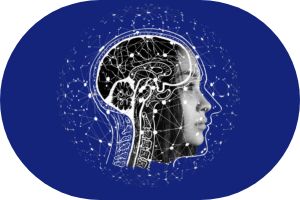 BIM: Il "data" come obiettivo preliminare alla progettazione